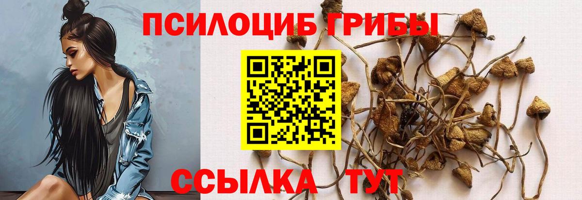 Псилоцибиновые грибы MAGIC MUSHROOMS  Вход с VPN  Бугуруслан 