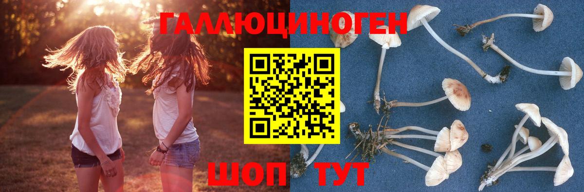 Галлюциногенные грибы прущие грибы Бугуруслан